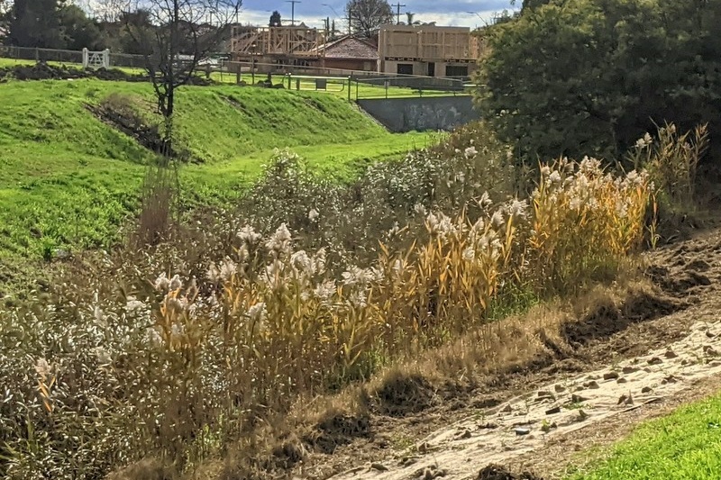 Environmental Student Leadership: Lalor Landcare